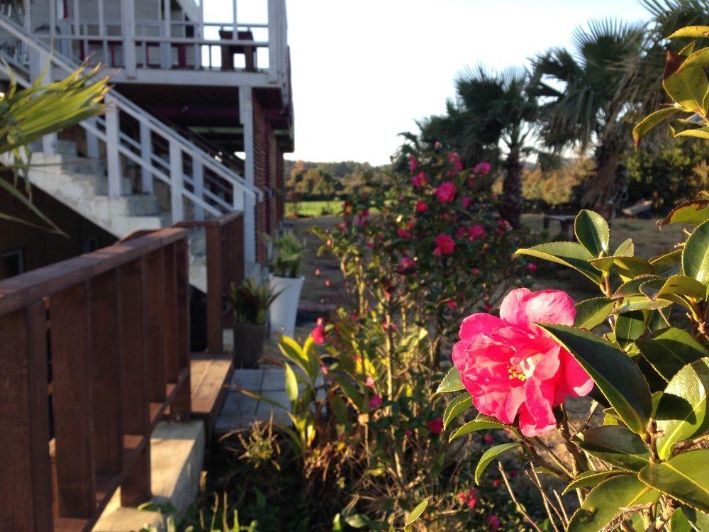 Clover B&B Seogwipo Exterior foto